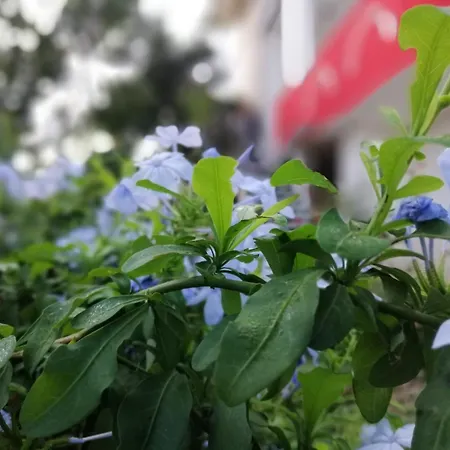 Sa Scraria Meana Sardo